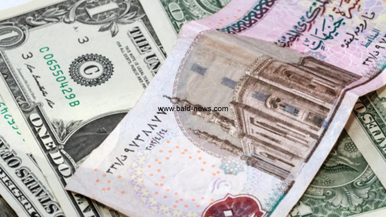 من جديد الورقة الخضراء ترتفع.. سعر الدولار مقابل الجنيه اليوم الاثنين الموافق 3 أكتوبر 2022 في البنوك والمصارف