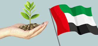 ما هي المستندات المطلوبة للحصول على مساعدة مالية في الإمارات