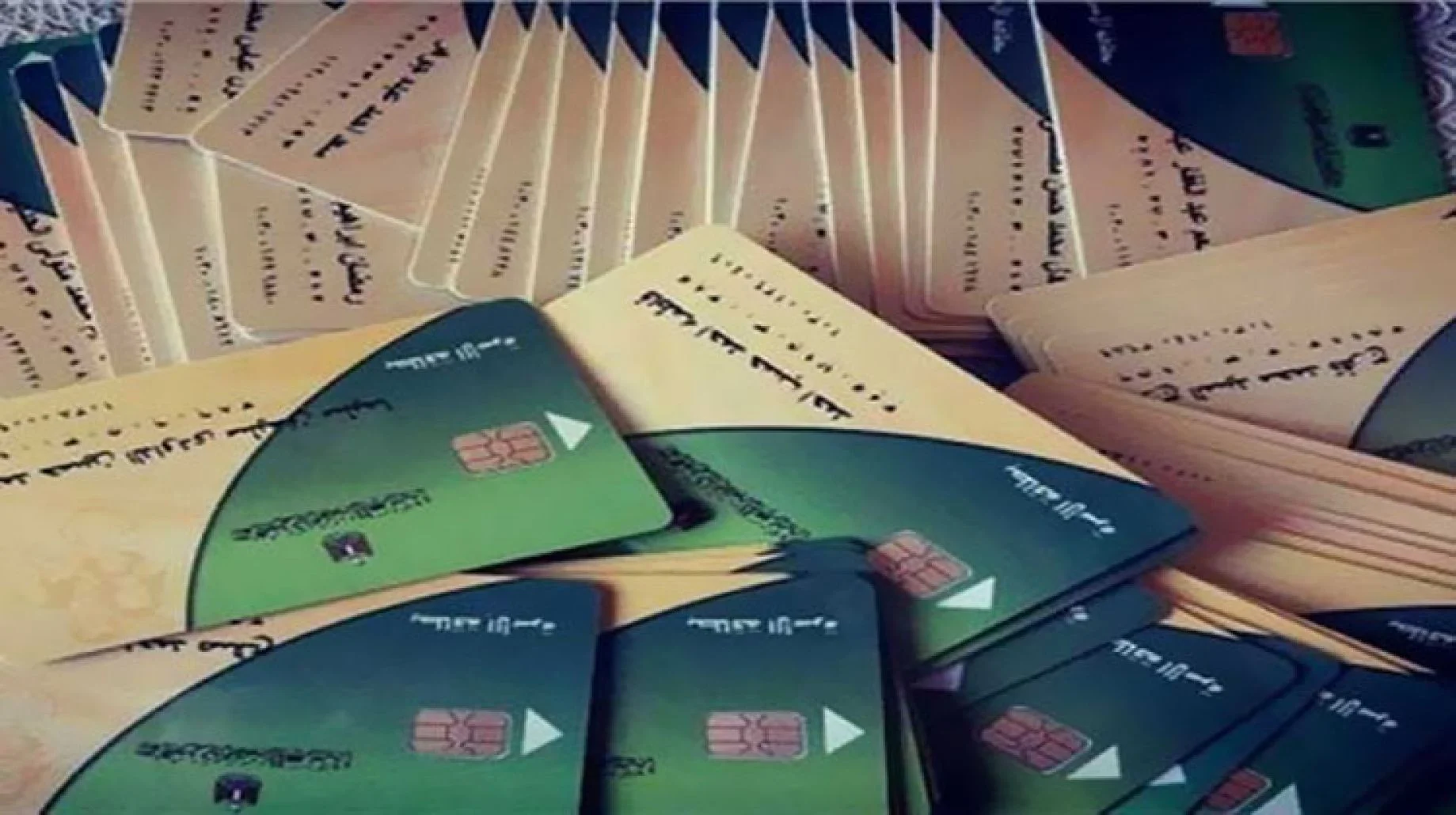 خطوات تحديث بيانات بطاقة التموين 2023 عبر بوابة مصر الرقمية