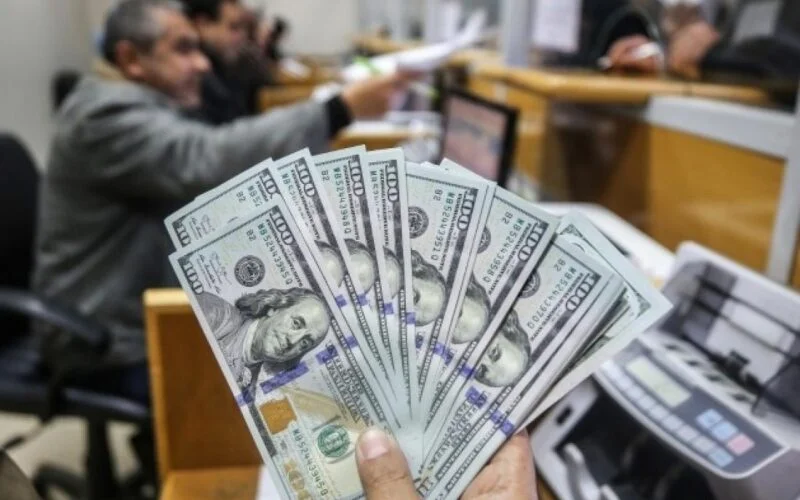 رابط المنحة القطرية 100دولار لقطاع غزة شهر يوليو 2023 query.gov.ps