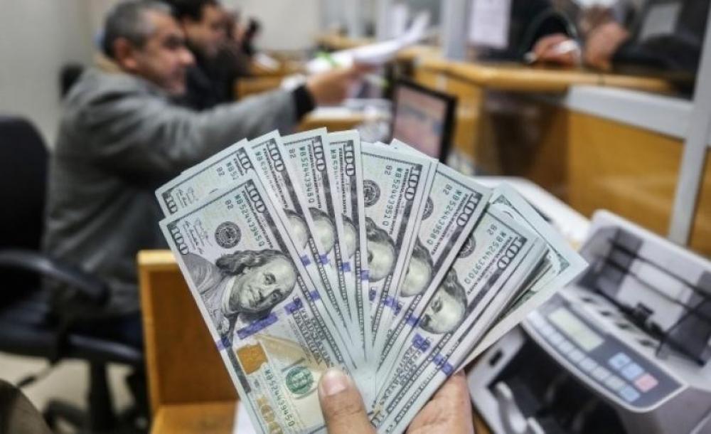 رابط فحص المنحة القطرية 100 دولار شهر يوليو 2023 برقم الهوية عبر بوابة الاستعلام الحكومي المركزي query.gov.ps