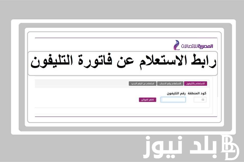 سداد فاتورة التليفون الأرضي.. الاستعلام عن فاتورة التليفون الأرضي لشهر اغسطس 2023 بالرقم عبر موقع الشركة المصرية للاتصالات billing.te.eg
