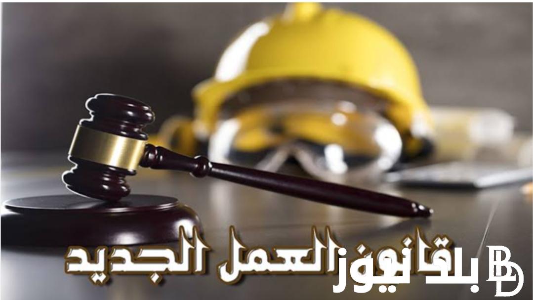 قانون العمل الجديد 2023 في السعودية حالات فصل الموظفين نهائيا عن العمل