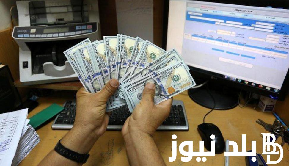 “منحة 100 دولار” الرابط query.gov.ps فحص المنحة القطرية شهر اغسطس 2023