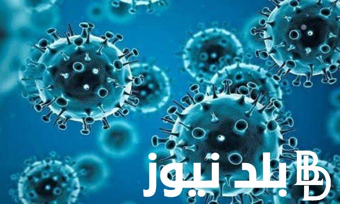 “كورونا الجديد” اعراض متحور EG5 وفقا لتصريحات المنظمة الصحة العالمية