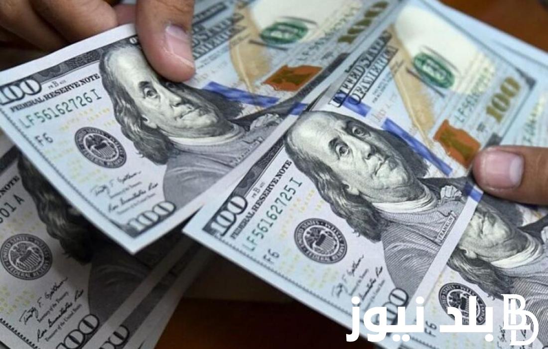“منحة 100 دولار” رابط فحص المنحة القطرية 100 دولار لشهر اغسطس 2023 عبر بوابة الاستعلام الحكومي query gov ps