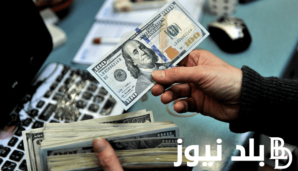 المنحة القطرية 100 دولار.. فحص المنحة القطرية 100 دولار شهر اغسطس 8 الاستعلام الحكومي