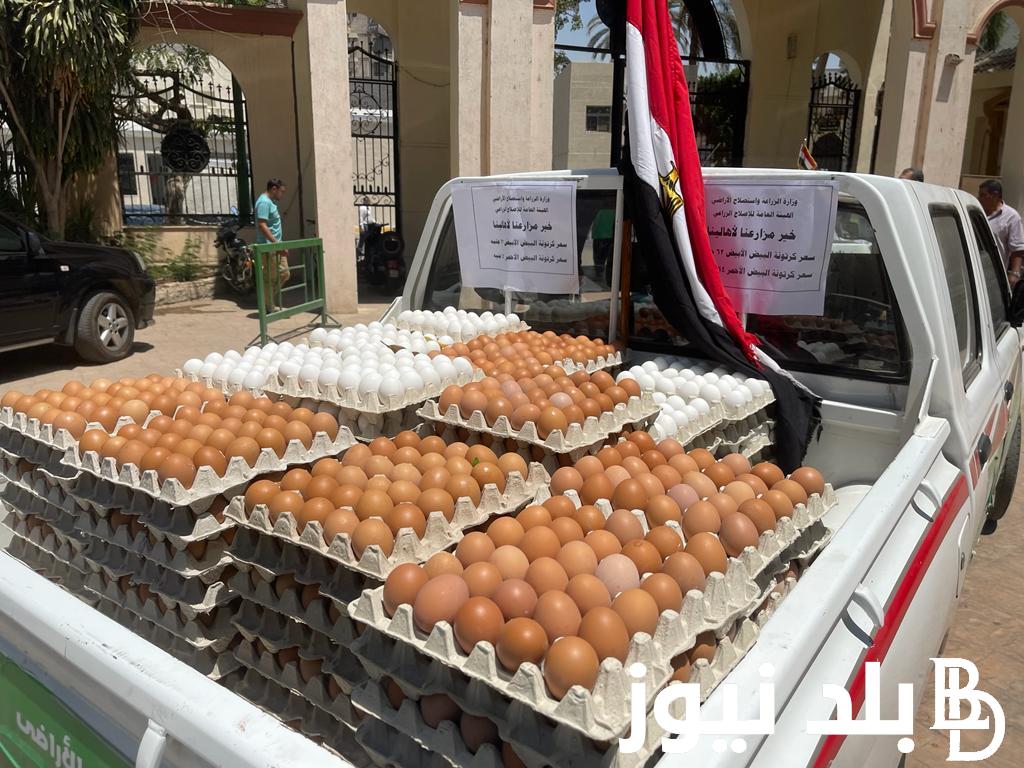 “خبر سعيد البيض بقى بالكوم”.. «الزراعة» تطلق 10 منافذ متحركة لبيع بيض المائدة للمواطنين اعرف سعر كرتونة البيض فورا!!