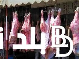 انخفاض أسعار اللحوم .. أسعار اللحوم اليوم “الضاني والبلدي والجملي” في المنافذ الحكومية ومحلات الجزارة