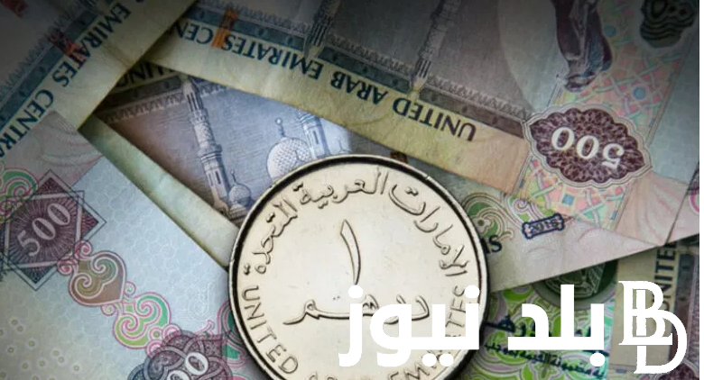 سعر الدرهم الاماراتي اليوم مقابل الجنيه المصري