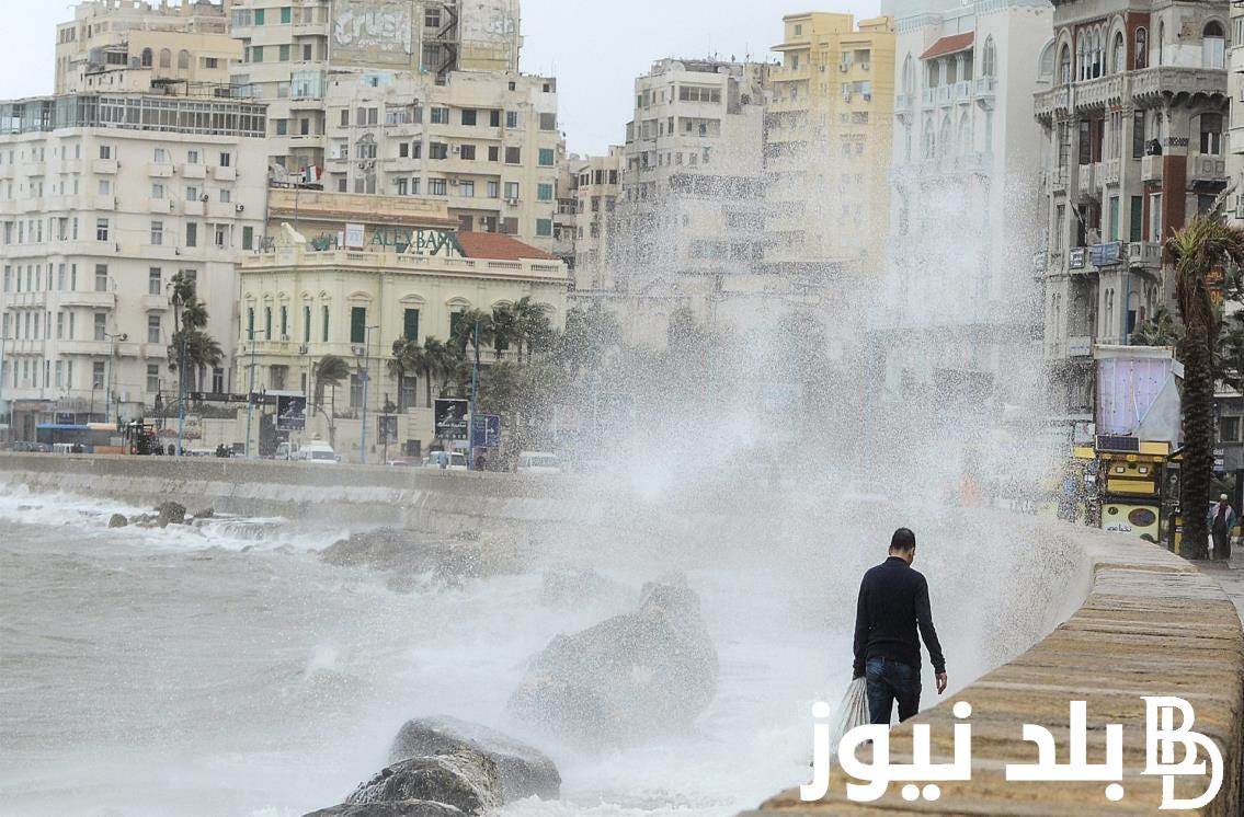 تعليق المدارس والكليات!! تعطيل الدراسة غدا في الاسكندرية حقيقة ام لا.. وهيئة الارصاد تحذر من طقس الساعات القادمة