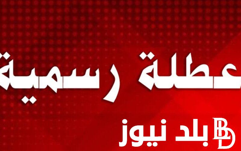 رسمياً “العطلة للجميع” هل غدا عطلة رسمية في العراق؟ الأمانة العامة لمجلس الوزراء بالعراق توضح التفاصيل
