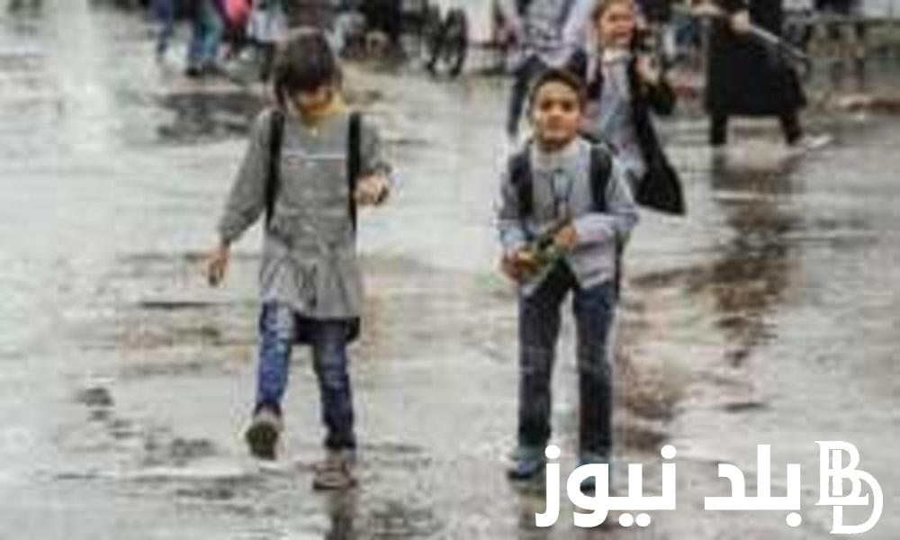 “عاااجل” تعطيل الدراسة غداً في القاهرة | التعليم تكشف حقيقة تعطيل الدراسة غداً في جميع المدارس والجامعات