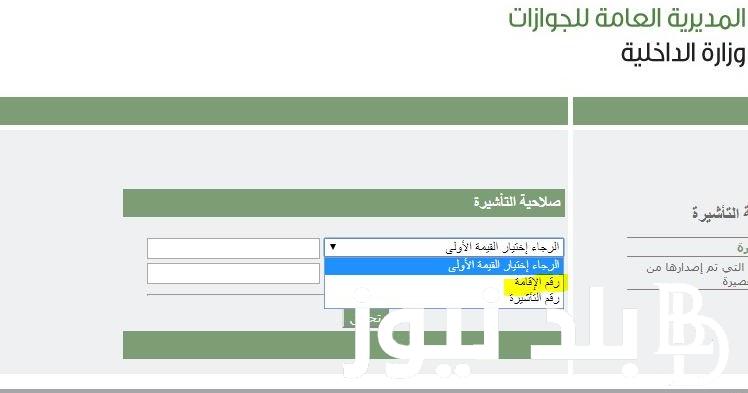 لينك استعلام عن تأشيرة زيارة برقم الجواز 1445 عبر الرابط visa.mofa.gov.sa والشروط المطلوبة لأصدراها