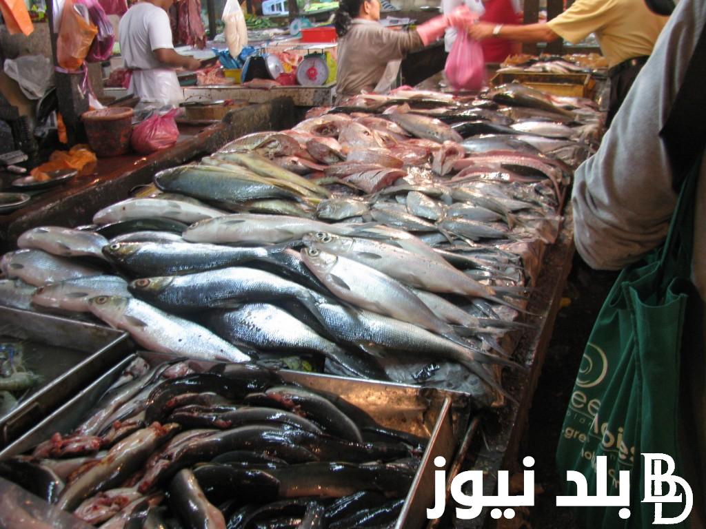 السمكة بكام؟ أسعار السمك اليوم بسوق العبور الثلاثاء 31/10/2023 للمستهلك في مصر