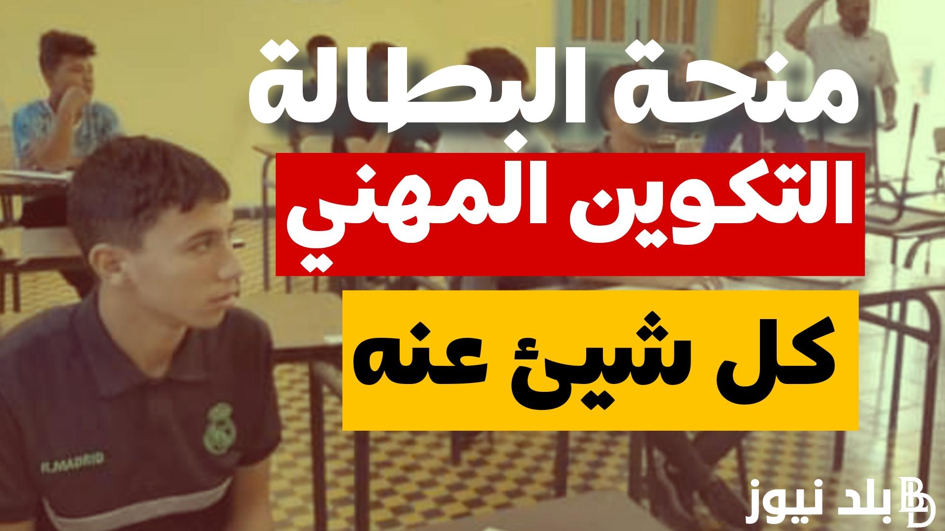 التسجيل في منحة البطالة 2023 وما هي شروط تجديد منحة البطالة في الجزائر و خطوات التسجيل عبر الرابط www.anem.dz