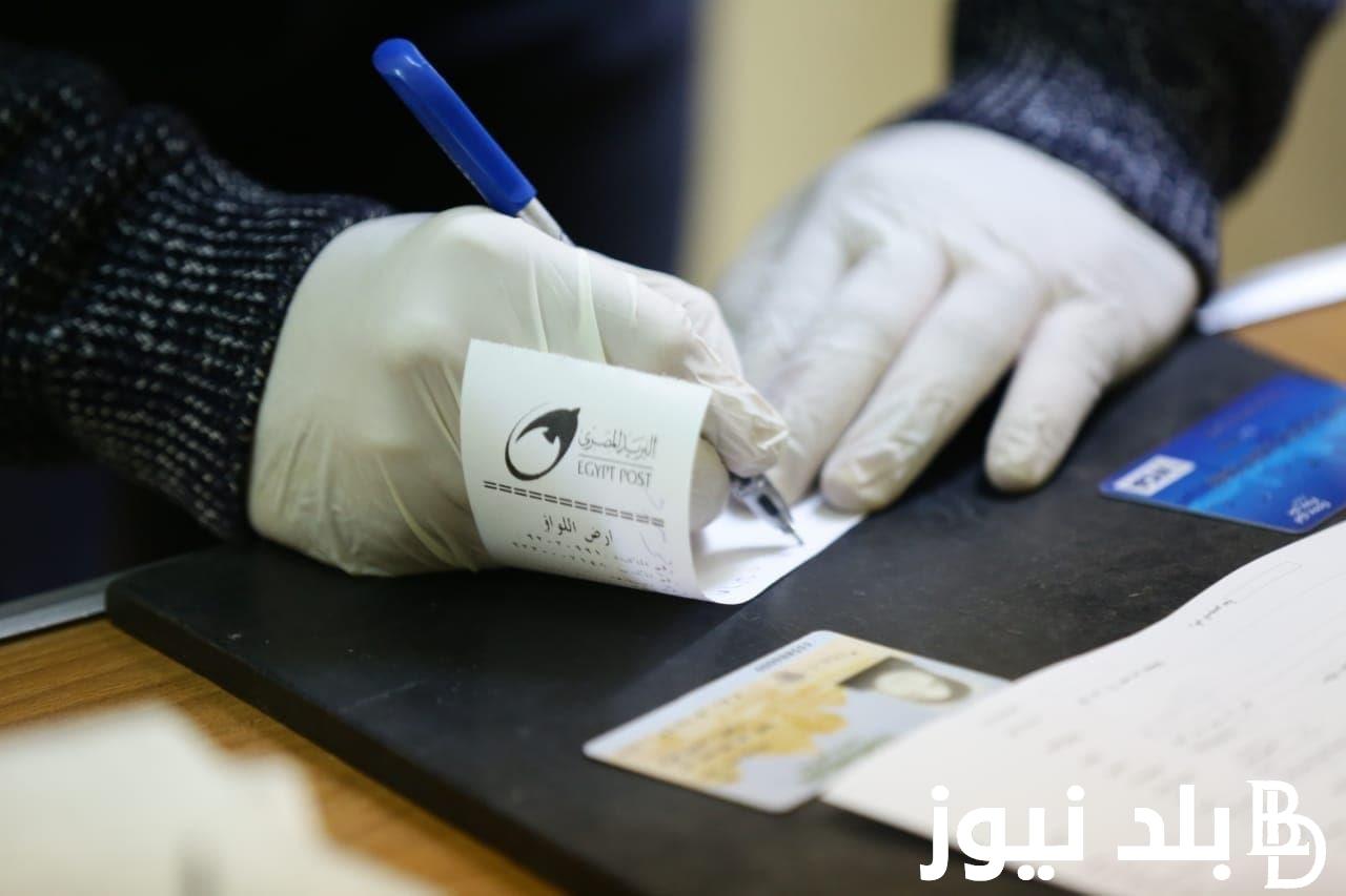 الان..مُتاح.. الاستعلام عن الأسماء الجدد في تكافل وكرامة 2023 بالرقم القومي عبر موقع وزارة التضامن الاجتماعي moss.gov.eg