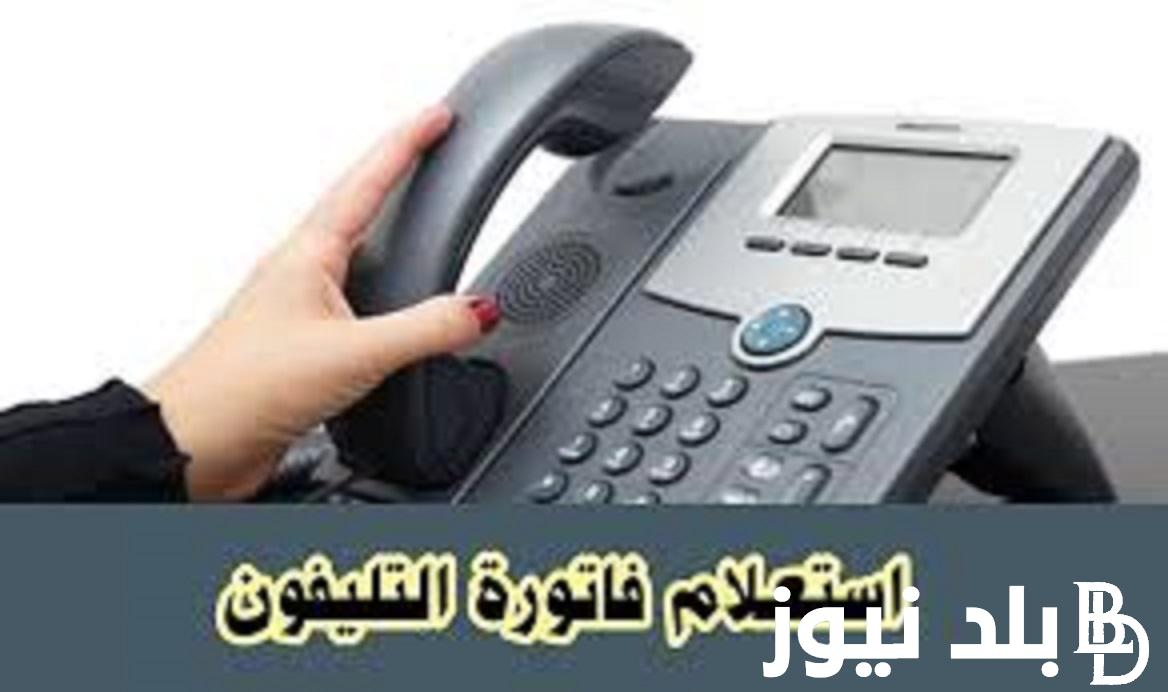 الاستعلام فاتورة التليفون الأرضي لشهر اكتوبر 2023 بالرقم القومي عبر موقع الشركة المصرية للأتصالات billing.te.eg