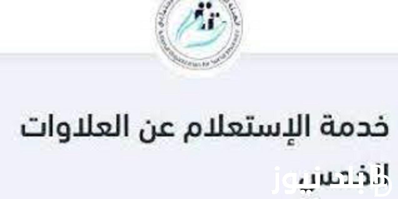 LINK الاستعلام عن العلاوات الخمسة بالرقم القومي 2023 عبر موقع وزارة التضامن الاجتماعي nosi.gov.eg والفئات المستحقة