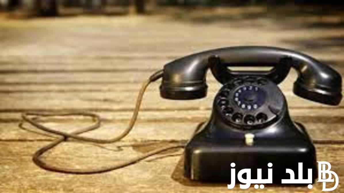 “خطوة بخطوة” الاستعلام عن فاتورة التليفون الأرضي لشهر أكتوبر 2023 رابط الاستعلام وخطوات السداد عبر موقع المصرية للاتصالات te.eg