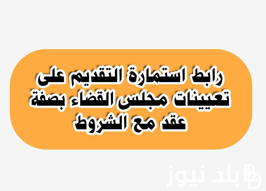 هُنا.. رابط التقديم على مجلس القضاء الأعلى 2023 عبر www.sjc.iq والشروط والمؤهلات الدراسية المطلوبة