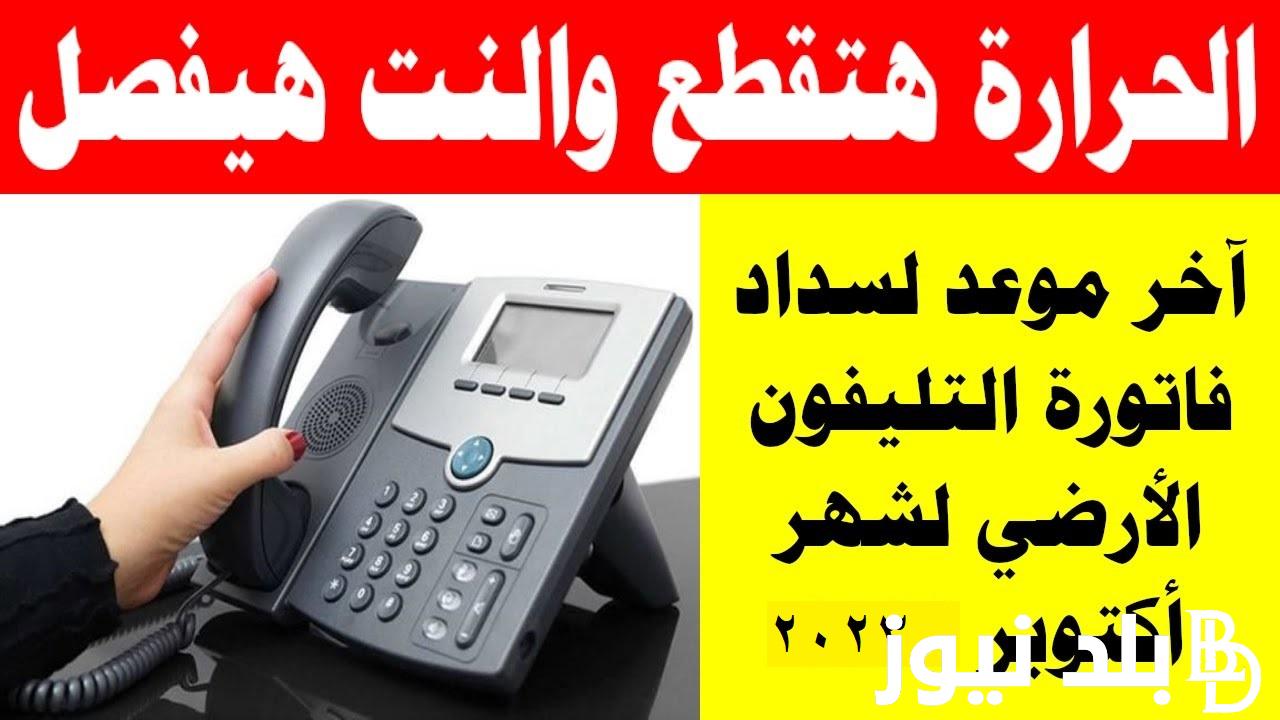 فاتورة التليفون الارضي لشهر اكتوبر 2023 | الاستعلام عن فواتير التليفون الأرضي بالاسم والرقم عبر تطبيق My WE