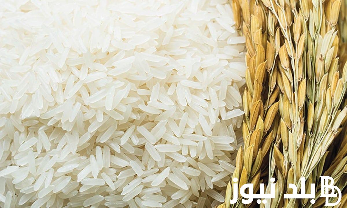 كم يبلغ سعر طن الأرز الشعير اليوم الخميس 26/10/2023 للمستهلك في المتاجر والاسواق المحلية