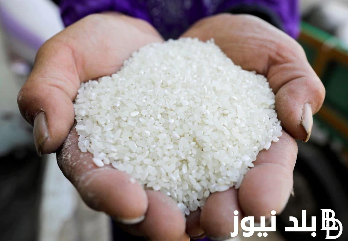 الطن بكام؟ سعر طن الأرز الشعير اليوم الثلاثاء 31/10/2023 للمستهلك في الاسواق والمنافذ