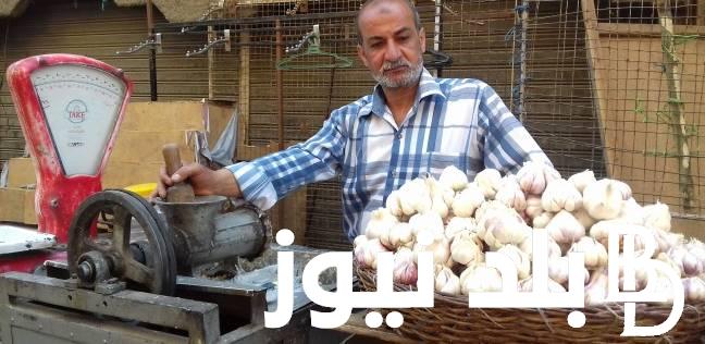 “بكام الكيلو النهاردة” أسعار الثوم اليوم في مصر الثلاثاء 17/10/2023