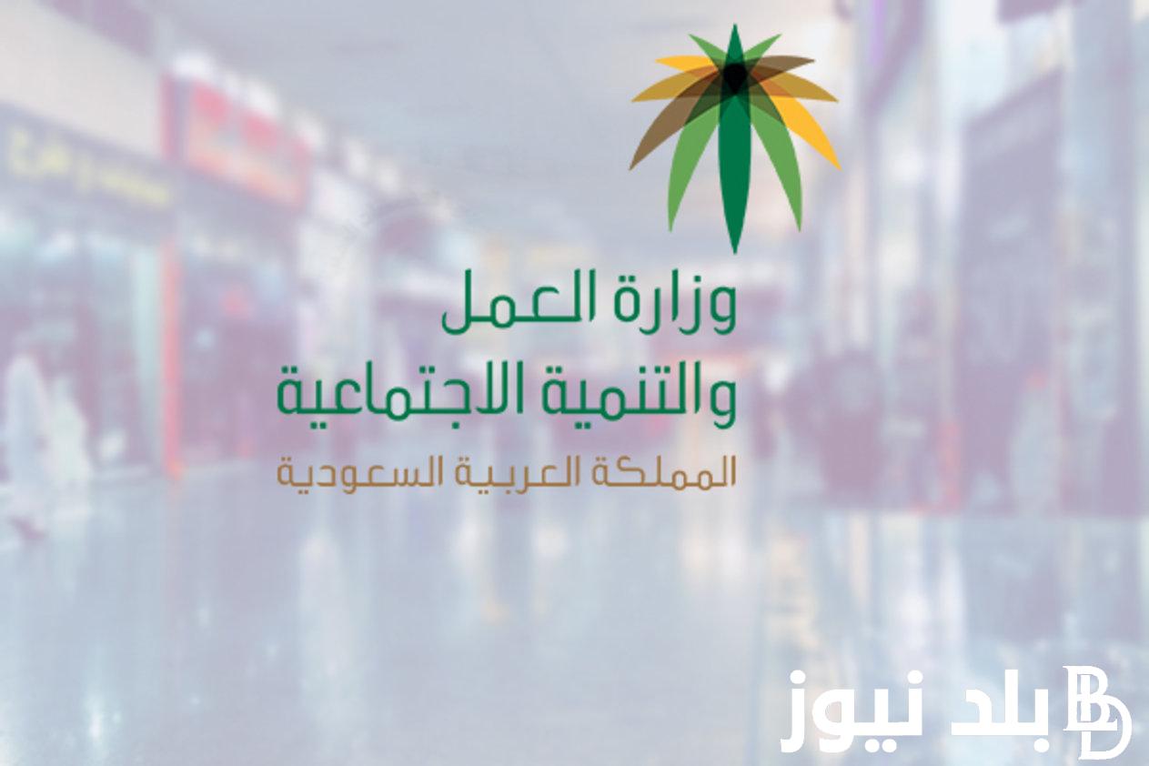 الضمان الاجتماعي المطور استعلام برقم الهوية 1445 عبر موقع وزارة الموارد البشرية والتنمية الاجتماعية sbis.hrsd.gov.sa