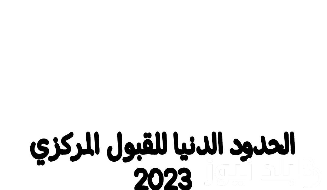 HERE الحدود الدنيا 2023 pdf ومعدلات القبول في الجامعات العراقية لجميع الفروع الدراسية