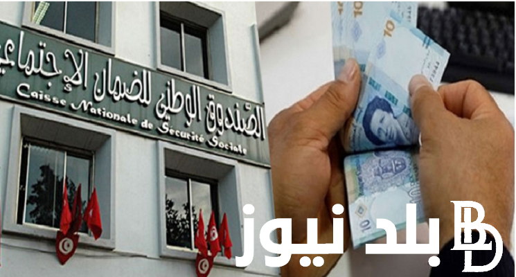 “آخر المستجدات” موعد صرف جرايات الصندوق الوطني للضمان الاجتماعي 2023 Cnss للمتقاعدين ومعرفة كم تقاعدك من خلال الرابط social.gov.tn