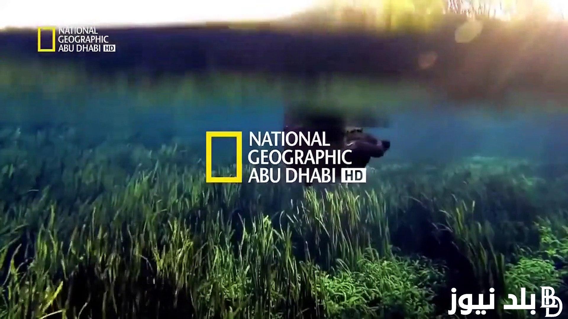 “ثبتها الان” تردد قناة ناشيونال جيوغرافيك National Geographic 2023 بأعلى جودة HD على نايل سات وعرب سات