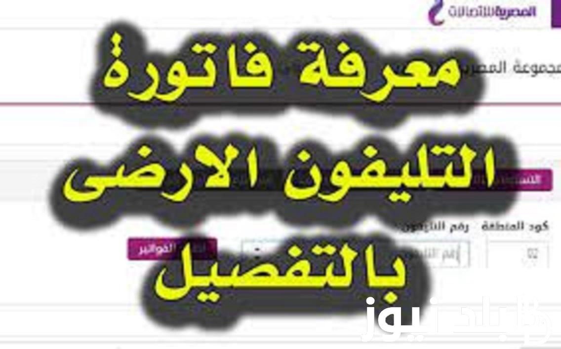 LINK استعلام فاتورة الخط الارضي 2023 عبر موقع الشركة المصرية للأتصالات te.eg