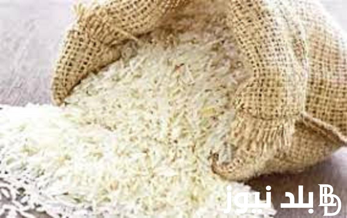 الطن وصل كام؟ سعر طن الارز الشعير اليوم الثلاثاء 17/10 في الاسواق المحلية المصرية