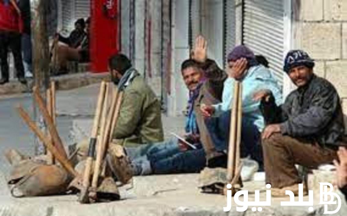 برابط فعال.. الاستعلام عن منحة العمالة الغير منتظمة عبر الموقع الرسمي لوزارة القوى العاملة mom.manpower.gov.eg وشروط الحصول على المنحة