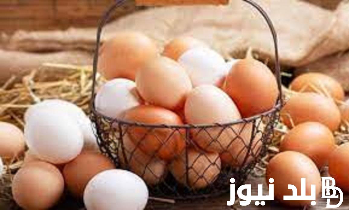 سعر كرتونة البيض اليوم الخميس 26 اكتوبر 2023 للمستهلك في الاسواق المصرية