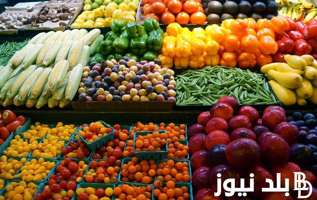 أسعار الخضروات والفاكهة اليوم السبت 21/10/2023 في سوق العبور وأسواق التجزئة للمستهلك