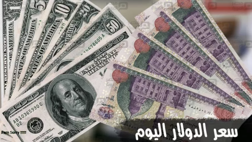 بكام النهاردة؟ سعر الدولار اليوم في السوق السوداء والبنوك المصرية