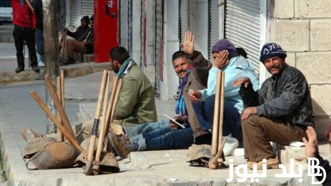 لينك الاستعلام عن منحة العمالة الغير منتظمة 2023 بالرقم القومي عبر موقع وزارة القوى العاملة manpower.gov.eg