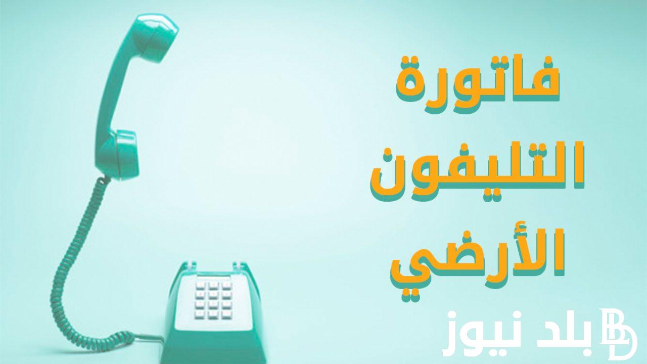 أونلاين من البيت.. الاستعلام عن فاتورة التليفون الأرضي لشهر أكتوبر 2023 بالرقم القومي عبر موقع الشركة المصرية للاتصالات billing.te.eg