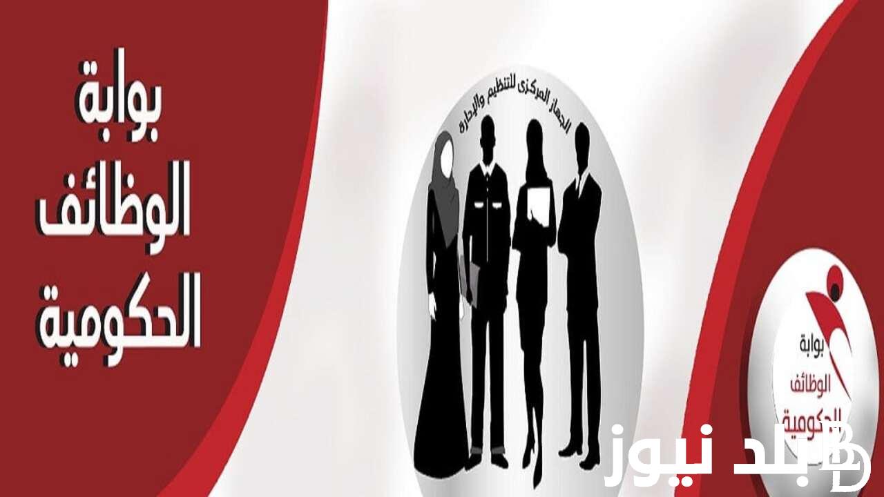 ننشُر الان.. كشوف الناجحين في مسابقة 30 ألف معلم pdf عبر بوابة الوظائف الحكومية jobs.caoa.gov.eg