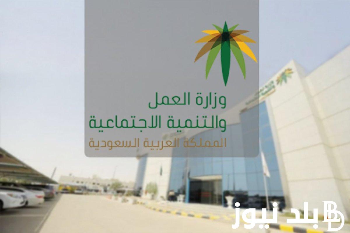 لينكـ الاستعلام عن الضمان المطور نفاذ 1445 بالشروط المطلوبة من خلال منصة الدعم والحماية sbis.hrsd.gov.sa