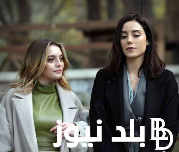 مسلسل طائر الرفراف الحلقة 42 مترجمة للعربية dailymotion اعلان 1 و 2 ومواعيد عرضها على قناة star tv