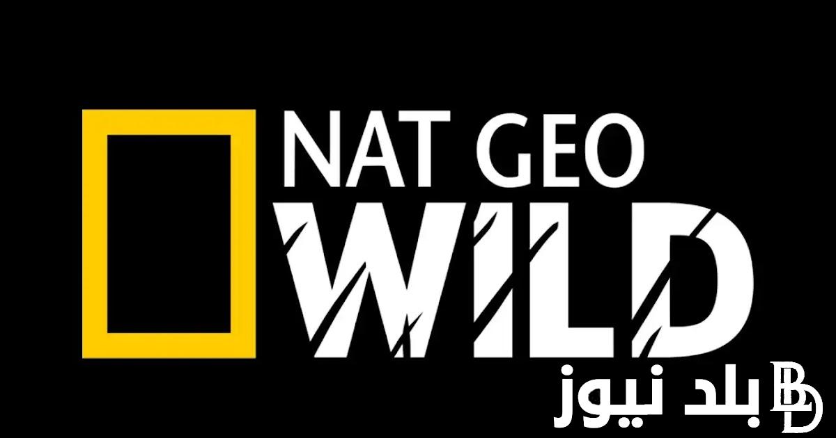 تثبيت تردد قناة ناشيونال جيوغرافيك HD الجديد 2023 National Geographic على نايل سات وعرب سات لمتابعة برامج الحياة البرية بجودة عالية HD