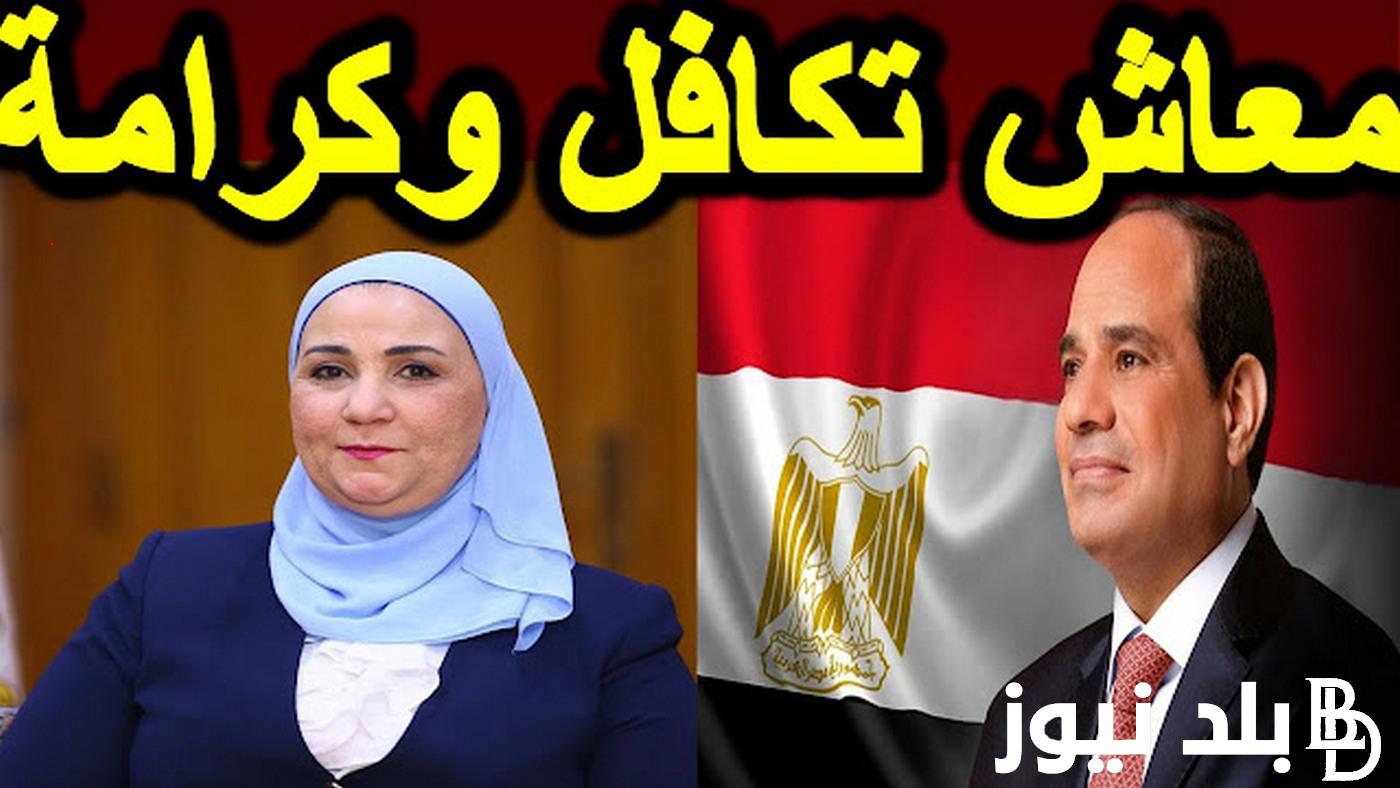 وزارة التضامن الاجتماعي الاستعلام عن الأسماء الجدد في تكافل وكرامة 2023 بالرقم القومي tk.moss.gov.eg لشهر اكتوبر
