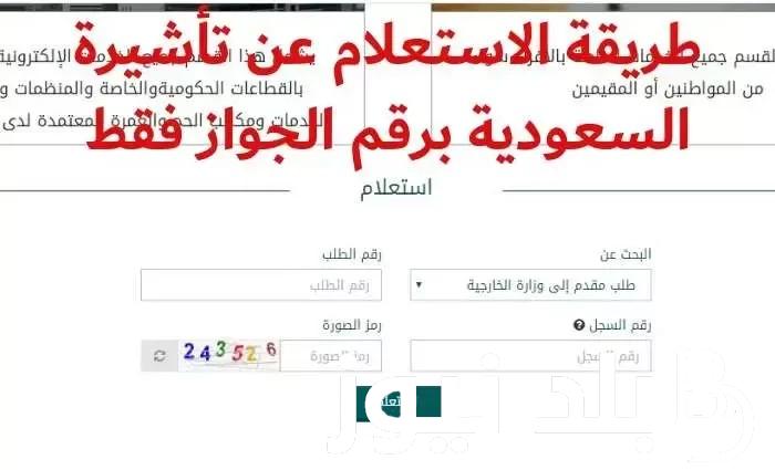 استعلام الآن.. استعلام عن تأشيرة برقم الطلب 2023 وزارة الخارجية السعودية وشروط الحصول عليها