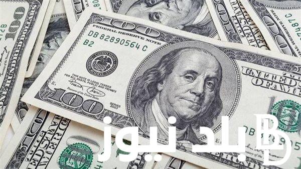 “الاخــضر طــالع” سعر الدولار اليوم في السوق السوداء 13 نوفمبر 2023 والعوامل المؤثرة على ارتفاع سعره في مصر