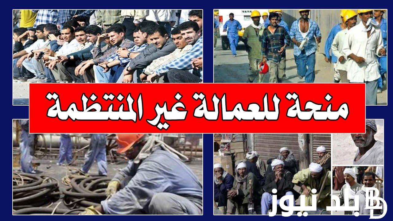 “هتاخد الف جنية” منحة العمالة الغير منتظمة 1000 جنيه 2023 وتفاصيل الحصول على المنحة