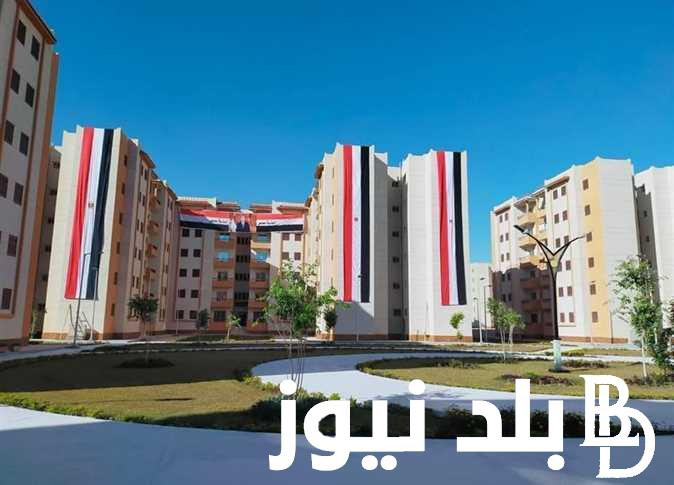 بالرقم القومي خمس خطوات الاستعلام عن شقق الإسكان الاجتماعي 2023 “cservices.shmff” موقع صندوق الإسكان الاجتماعي بالرقم القومي وأرقام التواصل